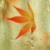 922080 南风のsun 