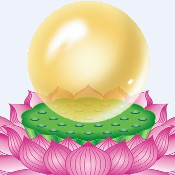 923795 随方就圆