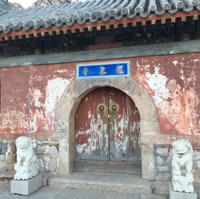 92416 既然青春留不住