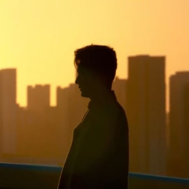 924432 榆木。