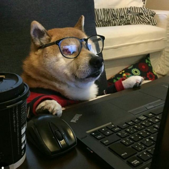 924511  