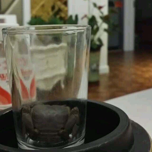 925527 忆挽青笙尽