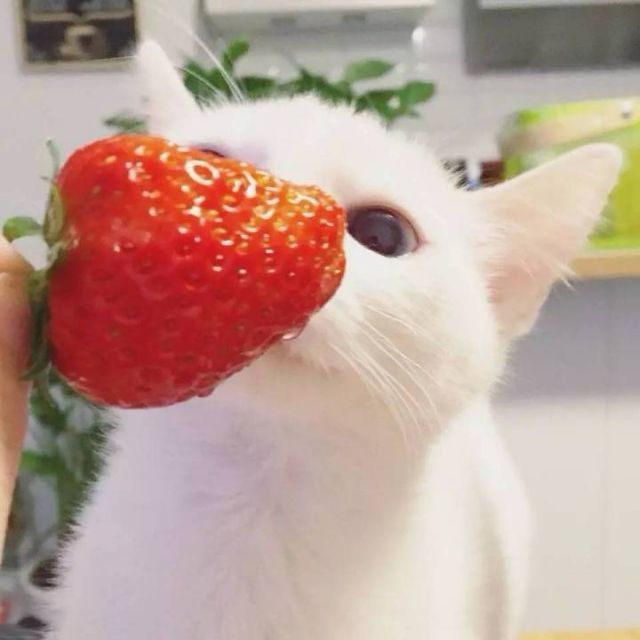 925927 沈繁荣