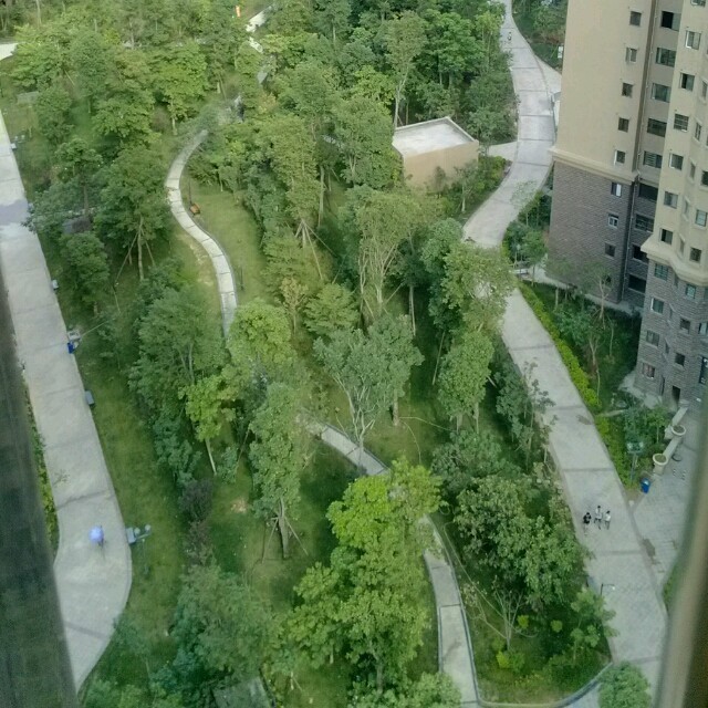 926019 小李