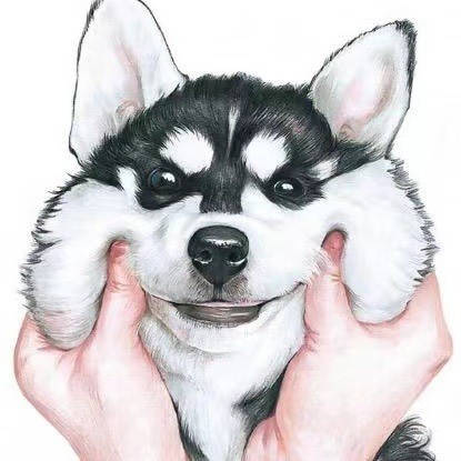 92695 追夢人