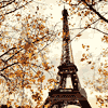 926975 Autumn