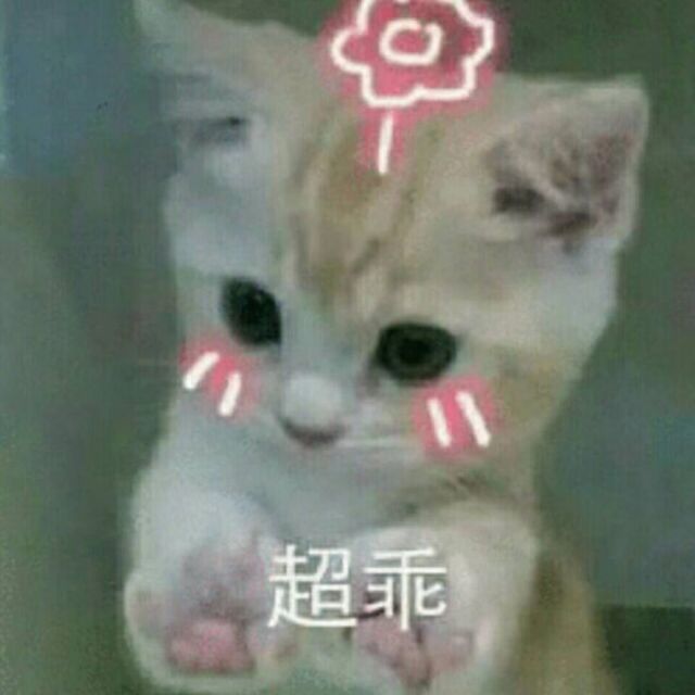 927375 幸福的小轩轩
