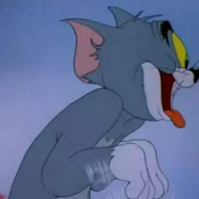 927479 布偶是只猫