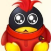 927533 阳光网络