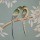 927971 DP.Liang