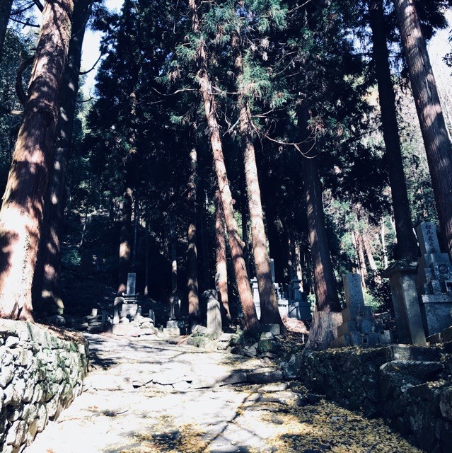 928594 天堂隔壁