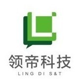 929007 领帝科技