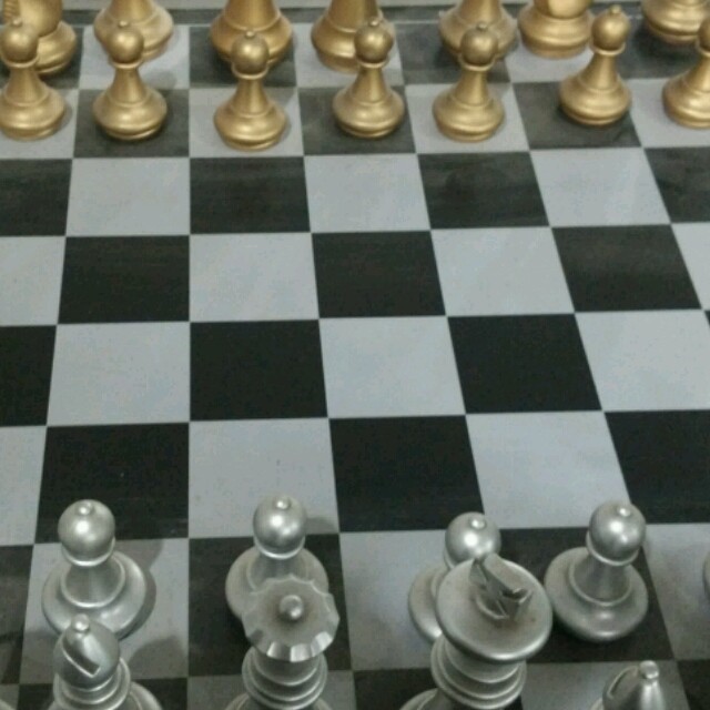 929119 神秘虫