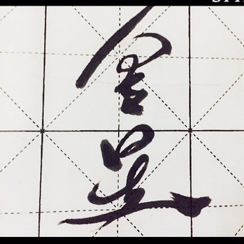 929256 金闪玉亮