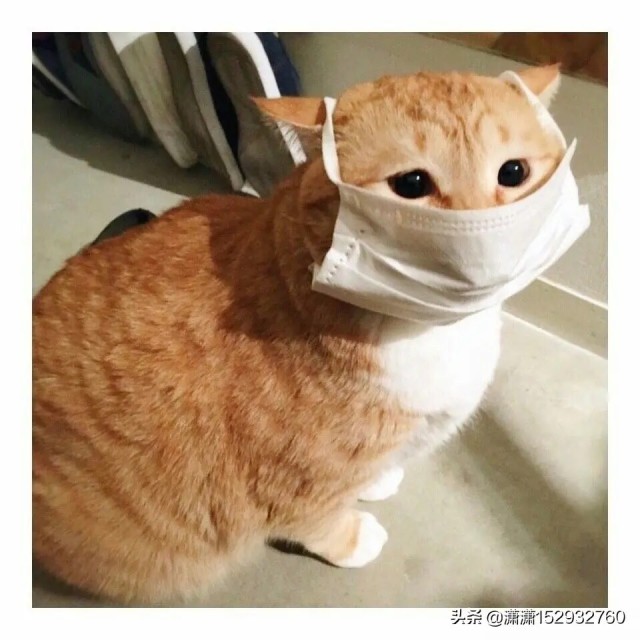 929293 ︷мЁゞ灬KιΩG