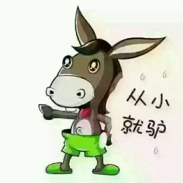 929495 清露名雨
