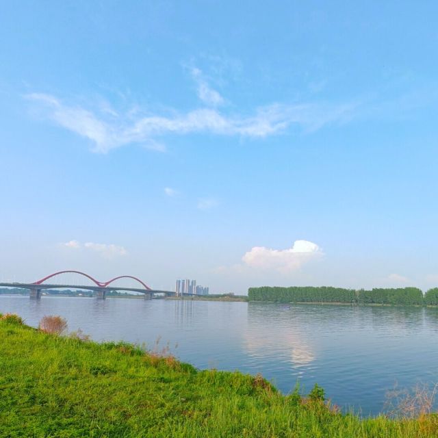 929666 鹿
