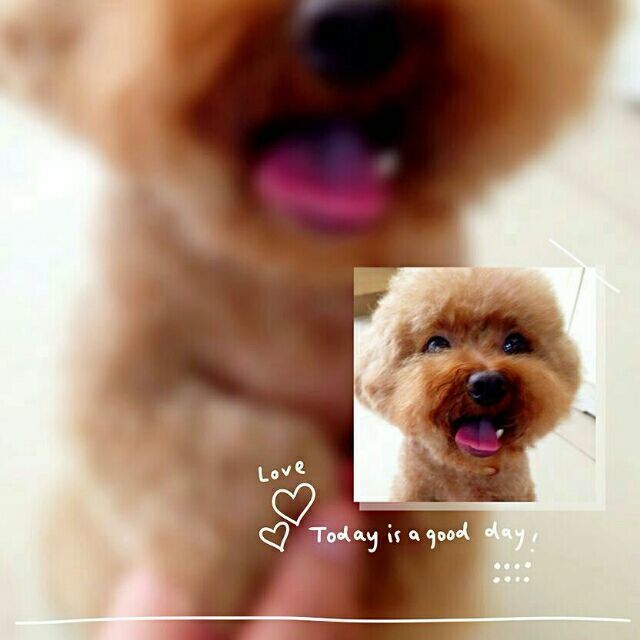 929738 平常心