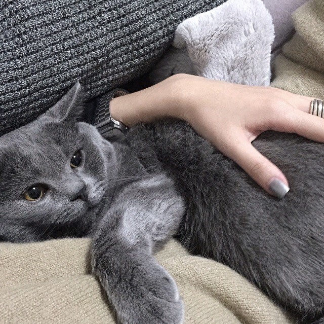 930102 ‭ 