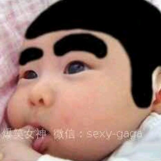 930665 虫子