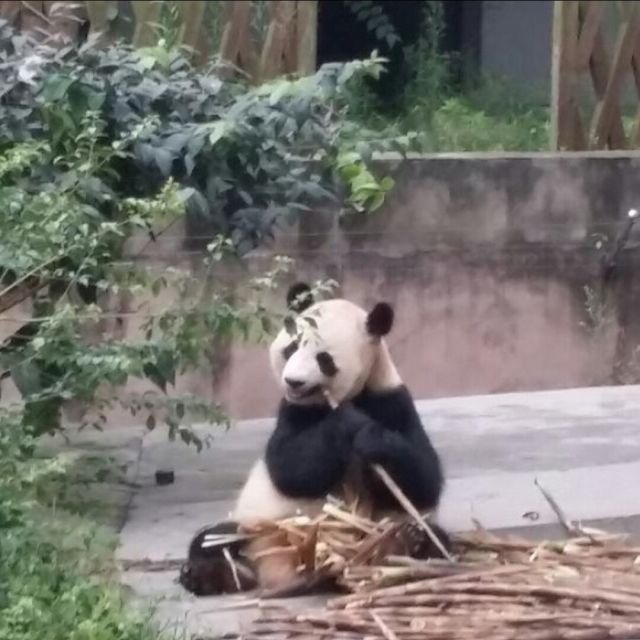 930803 无悔人生