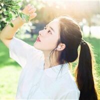 93111 伞