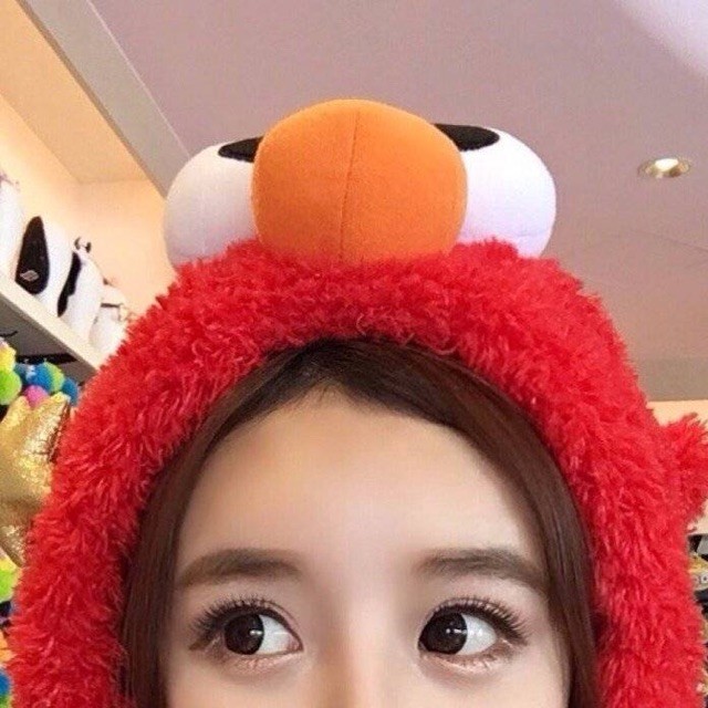 931447 花古朵 。