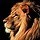 932446 abenlion