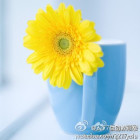932631 司文敏