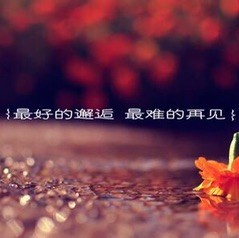 933106 问心无愧。