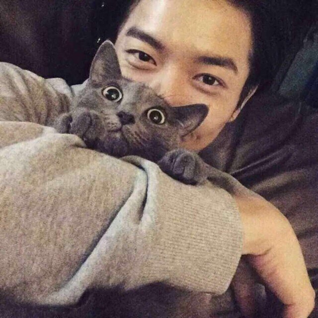 933877  趙司令 