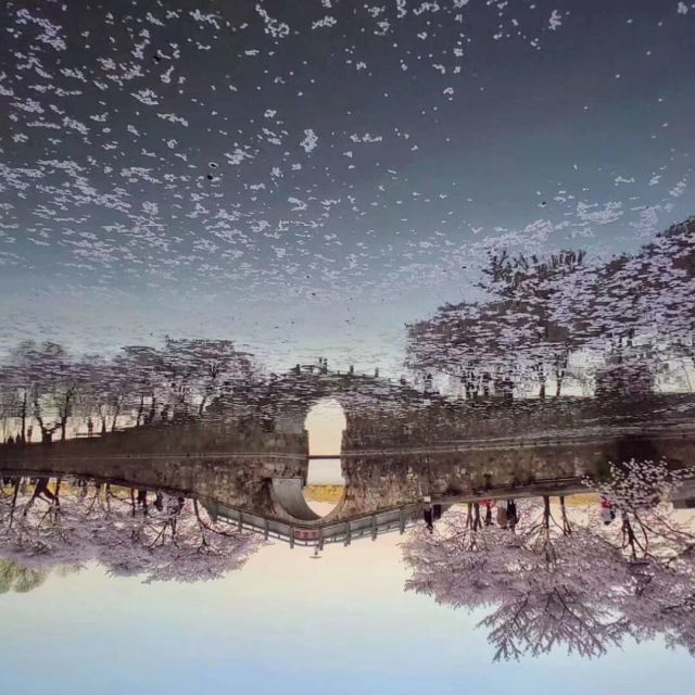 933918 骑士精神