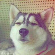 934219 招财猫