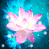 934379 HolyLotus