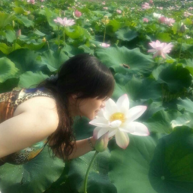 934775 麦田