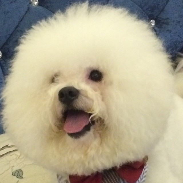 935015 线路忙o0○