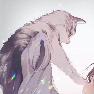 935080 均均