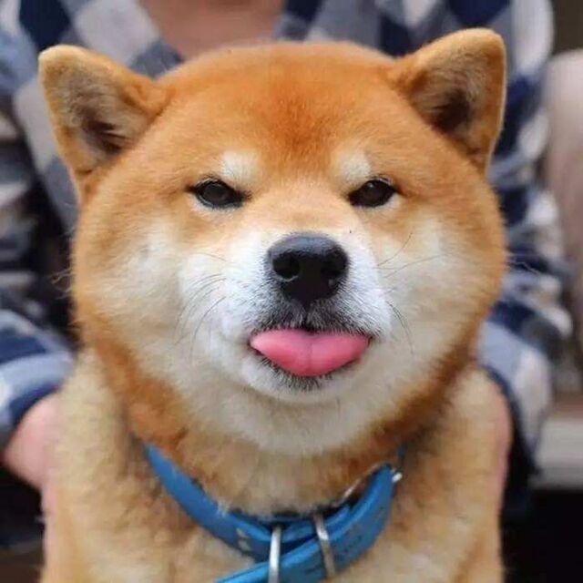 935342 青春已不复存