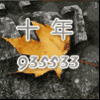 935533 拾年⁹³⁵⁵³³