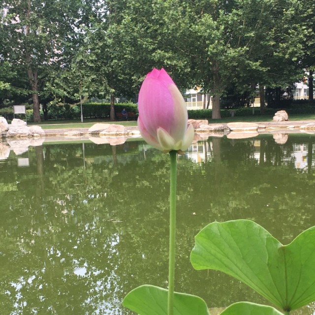 935635 幸福