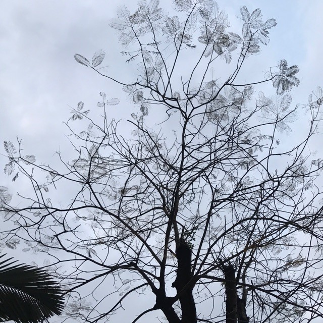 935673  板砖
