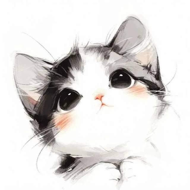 936019 IaMaCaT(๑• ϖ •๑)