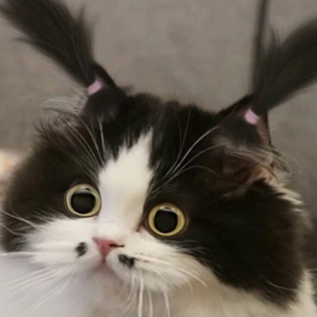 936020 ︶ㄣ㈦寳ぃ﹏