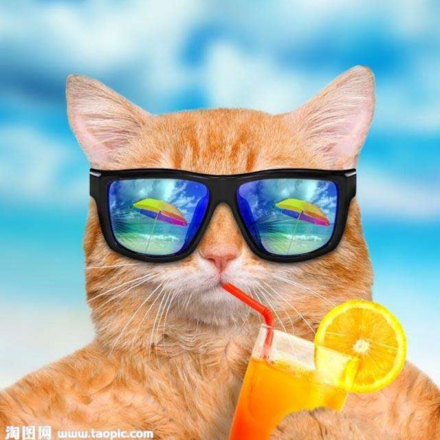 936258  浪迹天涯