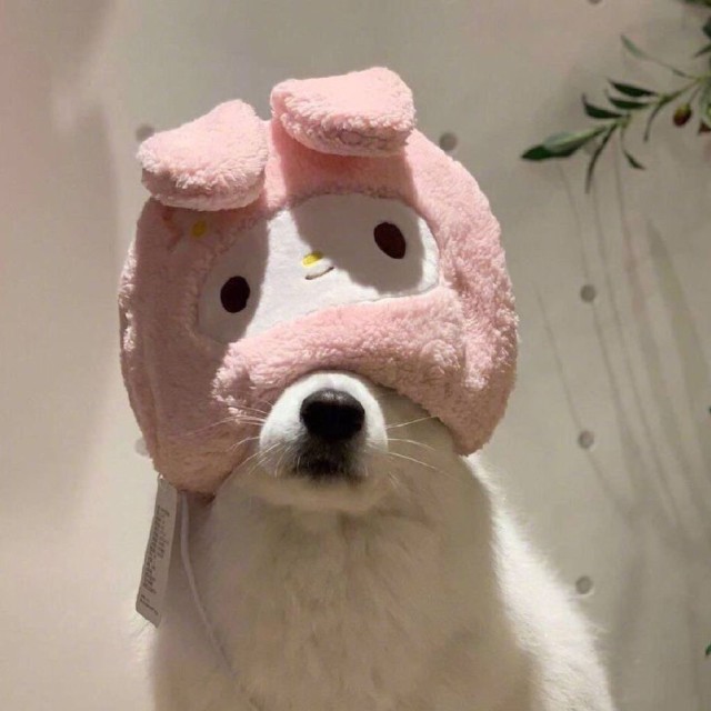 936587 假大夫真贩子