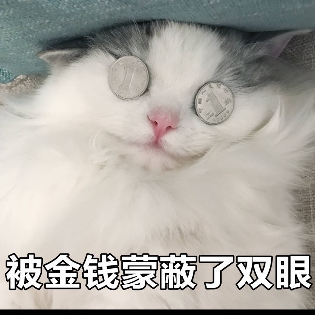936621 萝卜