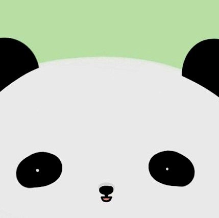 937277 KINO 倩