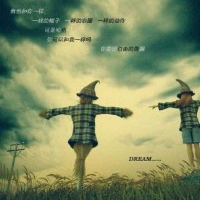 937581 深邃的眼