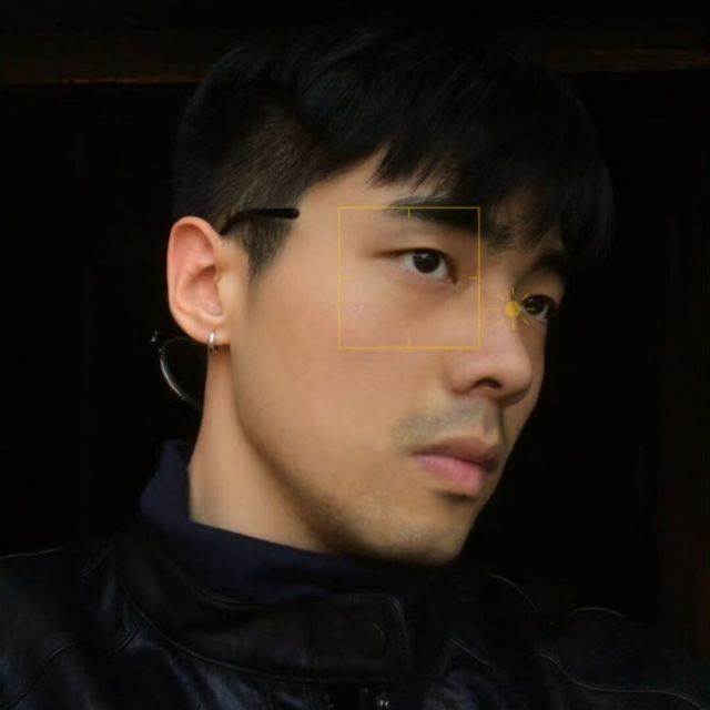 937663 小狼