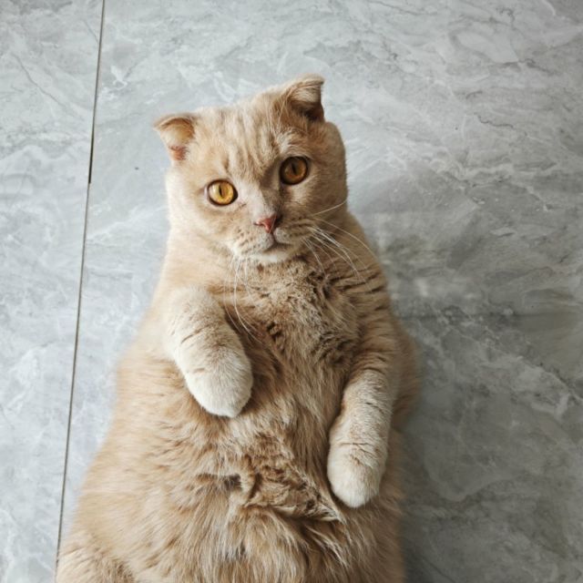 939413672 沿窗听风尘